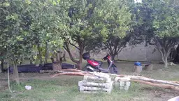 Vista 6