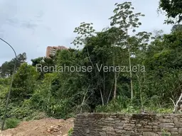 Vista 1