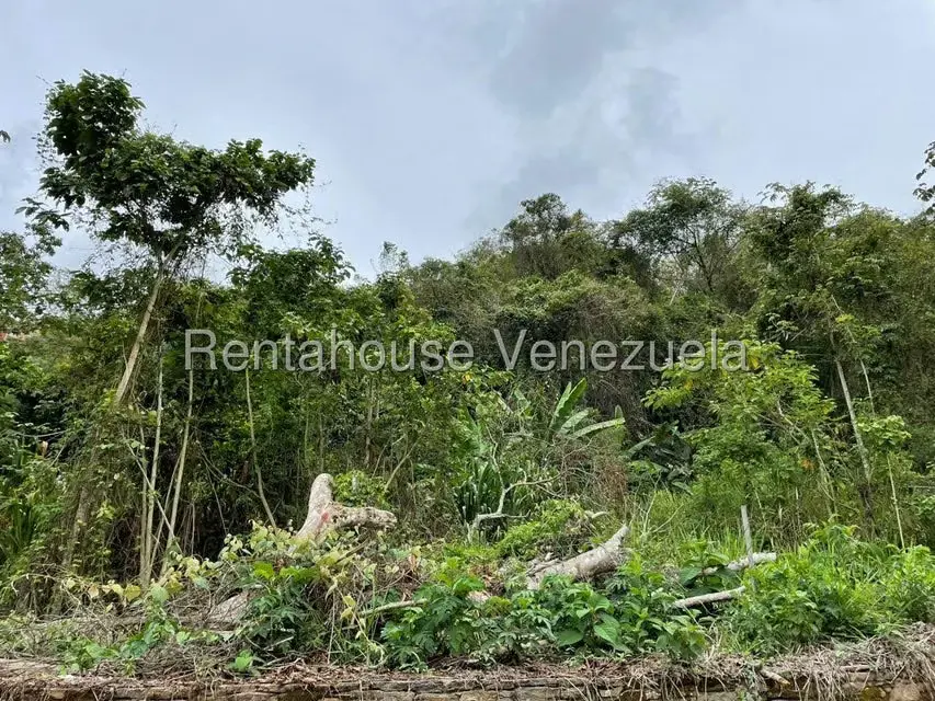 Terreno (Residencial) en Venta en La Boyera, Distrito Metropolitano - 2