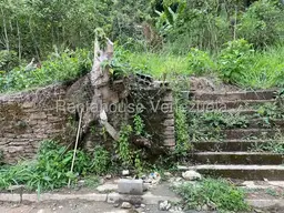 Vista 6