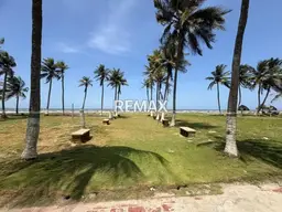 Vista 5