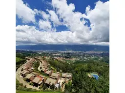 Vista 31