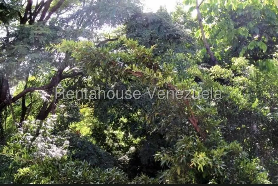 Casa (Multipes Niveles) en Alquiler en Altamira, Distrito Metropolitano - 7