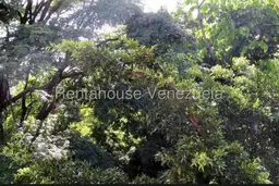Vista 7