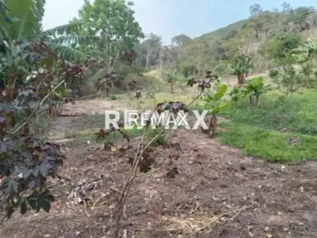 Venta de Terreno en Caneyes Sector Caneyes - 4