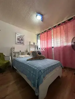 Vista 5