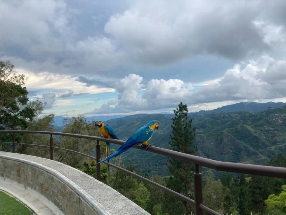 Vendo impresionante quinta 1700m2 Monte Elena - Baruta 8038 - 2