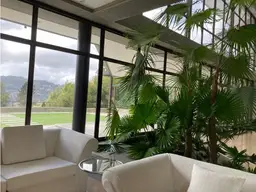 View 12