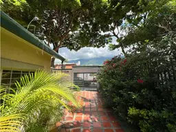 Vista 15