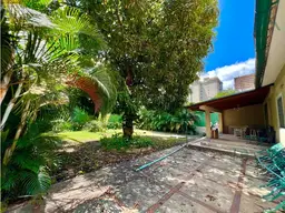 Vista 6