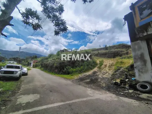 Terreno. Venta. Palo Gordo