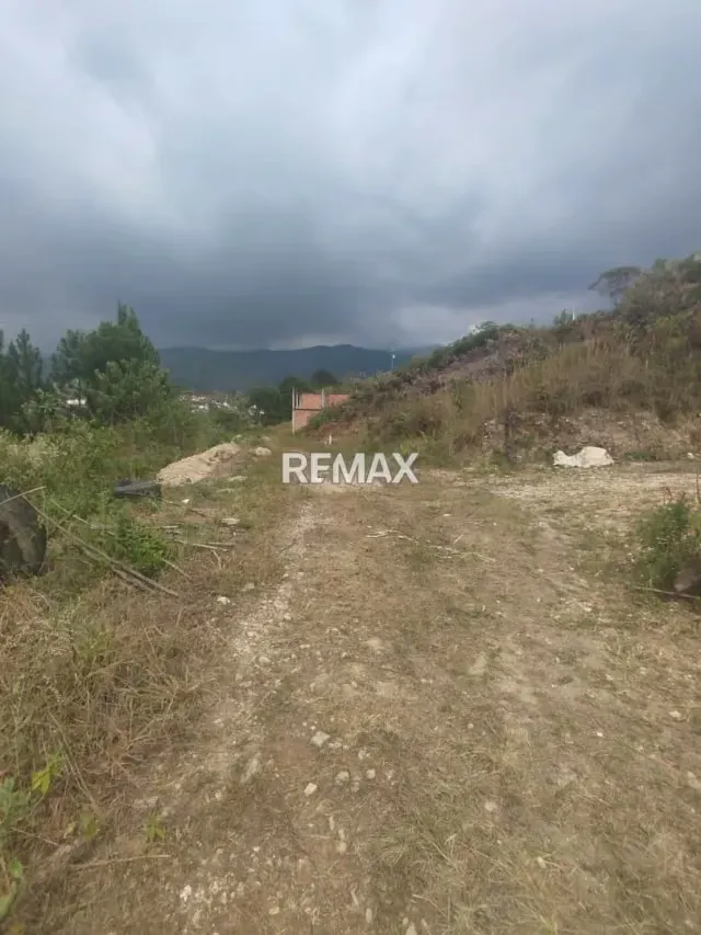 Terreno. Venta. Palo Gordo - 3