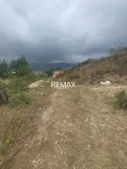 View 3