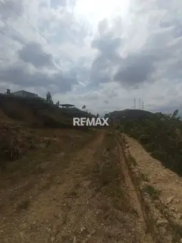 View 4