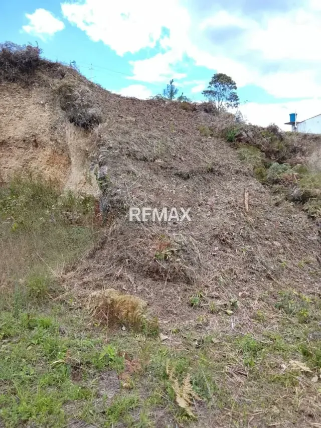 Terreno. Venta. Palo Gordo - 5