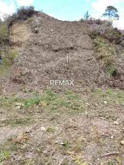 View 6