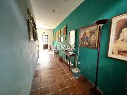 Vista 4