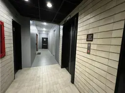 Vista 11