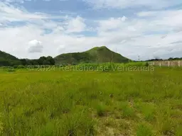 Vista 1