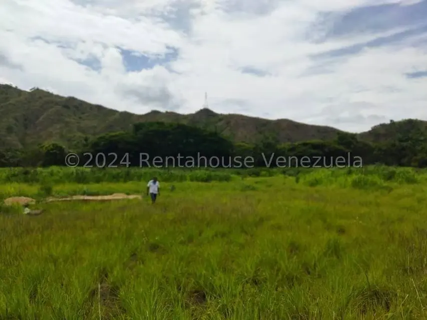Terreno (Comercial) en Venta en El Paseo, Aragua - 3