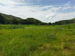 Vista 4