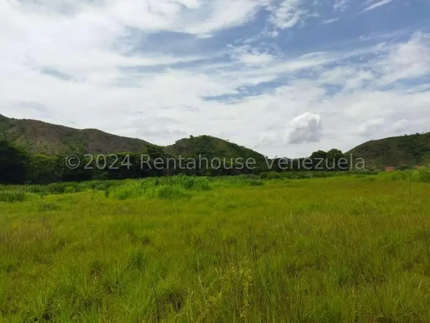 Terreno (Comercial) en Venta en El Paseo, Aragua - 5