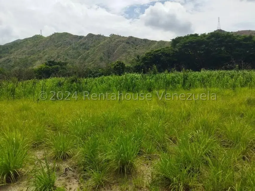 Terreno (Comercial) en Venta en El Paseo, Aragua - 6