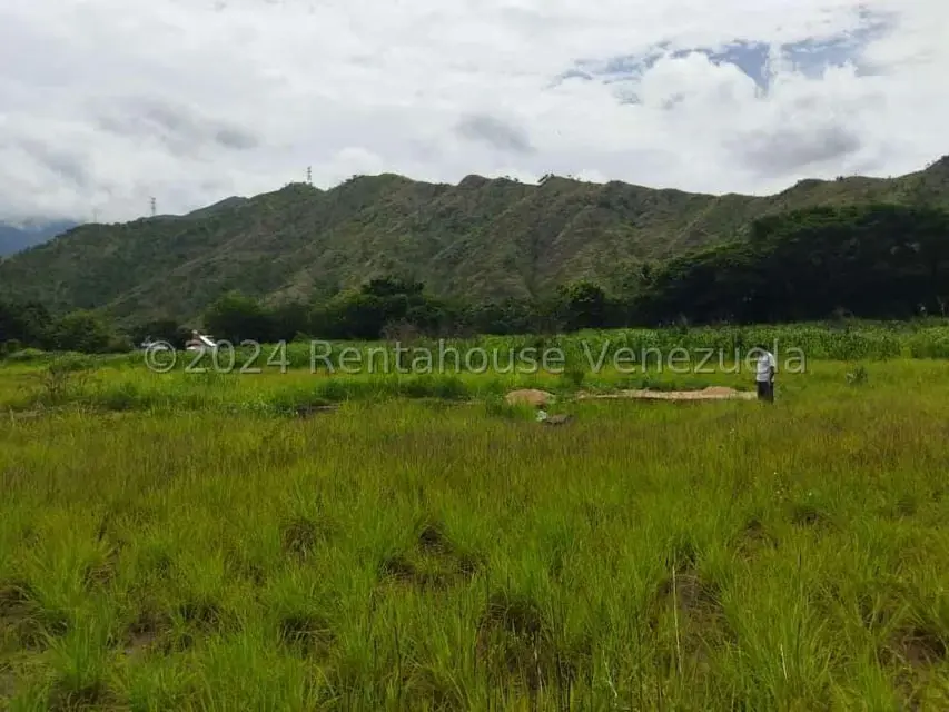 Terreno (Comercial) en Venta en El Paseo, Aragua - 7