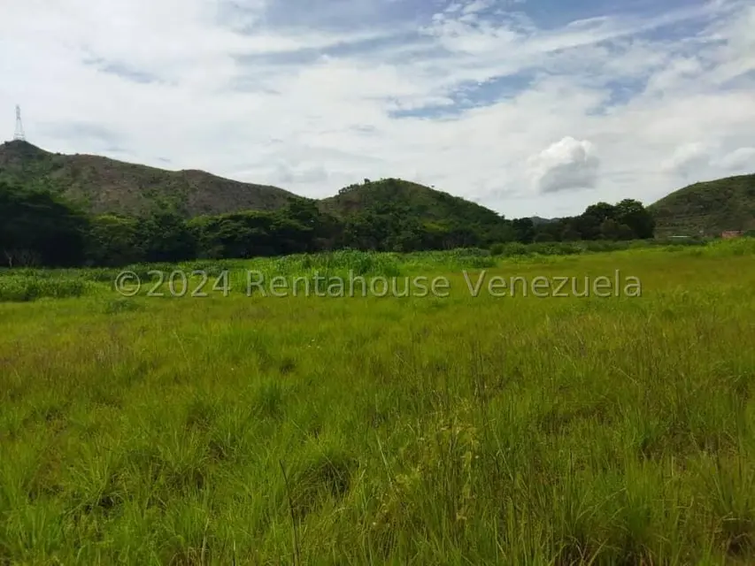Terreno (Comercial) en Venta en El Paseo, Aragua - 8