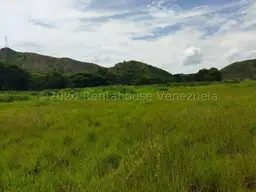 Vista 8