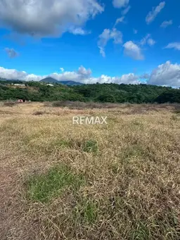 Vista 4