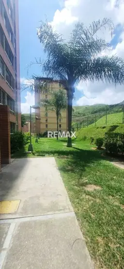 View 19