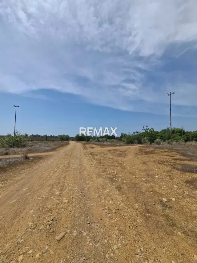 Terreno en Troncal 9 a 1km de Peaje de Potocos - 2