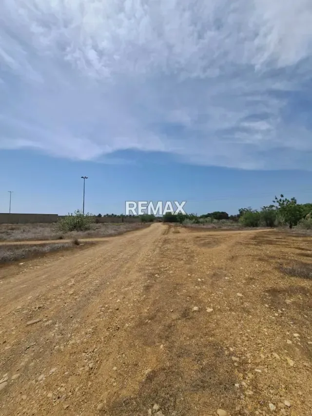 Terreno en Troncal 9 a 1km de Peaje de Potocos - 4