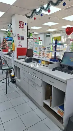 Vista 19