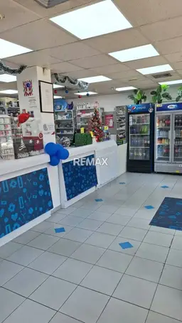 Vista 4