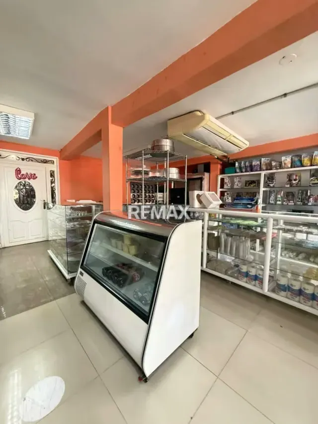 LOCAL CERCA DE LA LIMPIA DETRAS DE MANGO BAJITO - 7