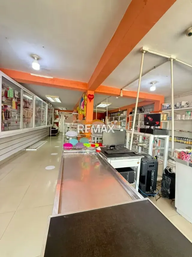 LOCAL CERCA DE LA LIMPIA DETRAS DE MANGO BAJITO - 10