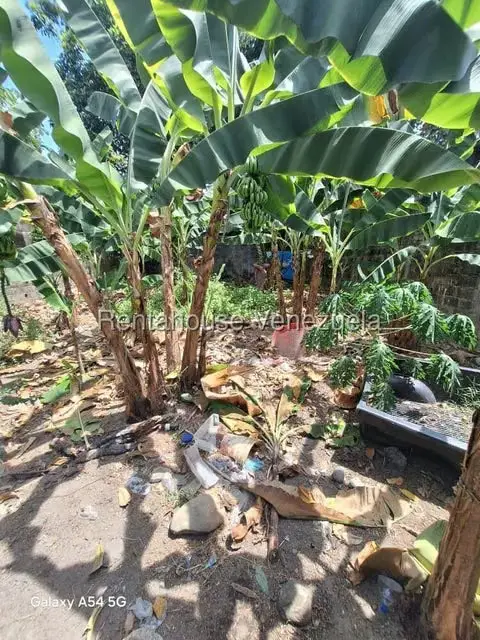 Terreno (Comercial) en Venta en El Carmen, Merida - 6