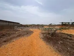 Vista 4