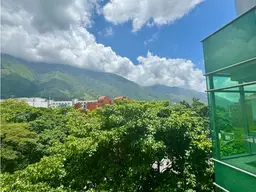 View 15