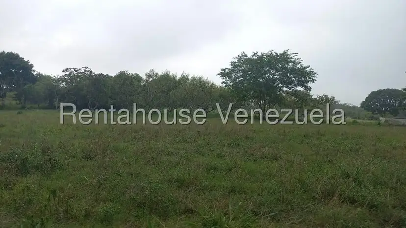 Terreno (Industrial) en Venta en Jose A Paez, Yaracuy