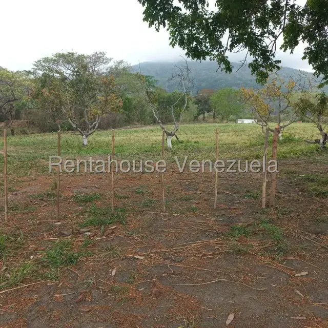 Terreno (Industrial) en Venta en Jose A Paez, Yaracuy - 11