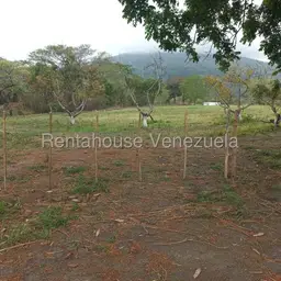 View 11