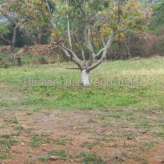 Terreno (Industrial) en Venta en Jose A Paez, Yaracuy - 12