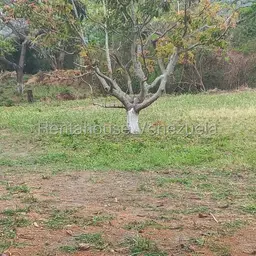View 12