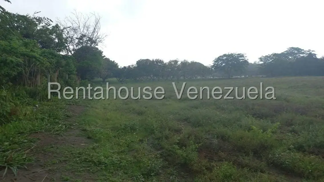 Terreno (Industrial) en Venta en Jose A Paez, Yaracuy - 2