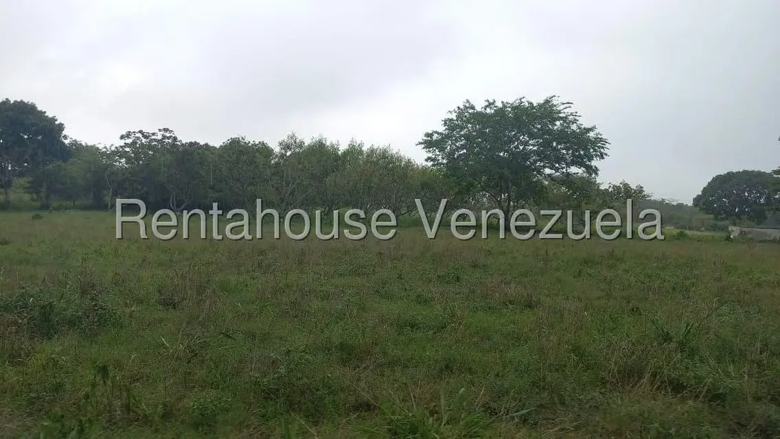 Terreno (Industrial) en Venta en Jose A Paez, Yaracuy - 3