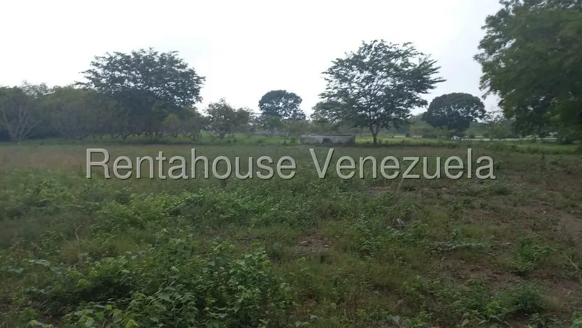 Terreno (Industrial) en Venta en Jose A Paez, Yaracuy - 4