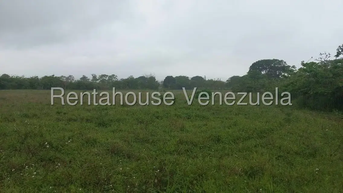 Terreno (Industrial) en Venta en Jose A Paez, Yaracuy - 5